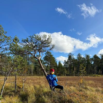 Karpalosuo, Hailuoto Pohjoisranta Karpalosuo, Hailuoto Pohjoisranta