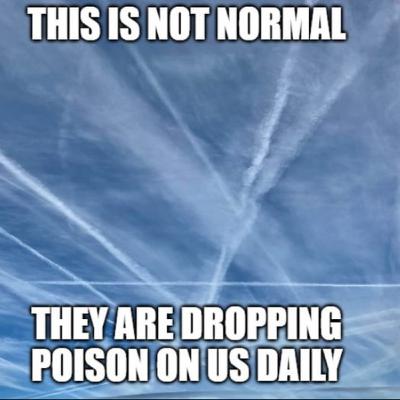 😲Lines In The Sky: Chemtrails, Tucker Carlson "What are they Spraying & Why"??🧐