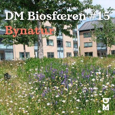 DM Biosfæren: Hvorfor er bynaturen vigtig?
