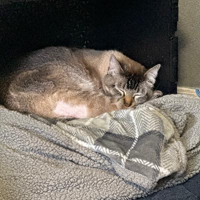 January 16, 2025 January 16, 2025