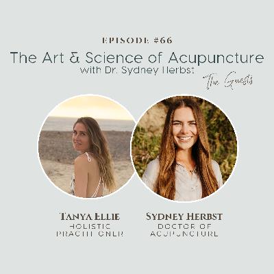 The Guest Series, Ep 5: The Art and Science of Acupuncture with Dr. Sydney Herbst (Using Chinese Medicine to Balance the Body)