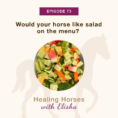 73: Would your horse like a salad on the menu?