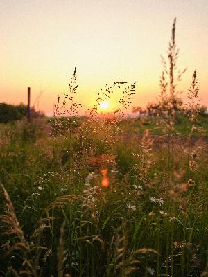 Tuesday Musings: Coming Home to You.