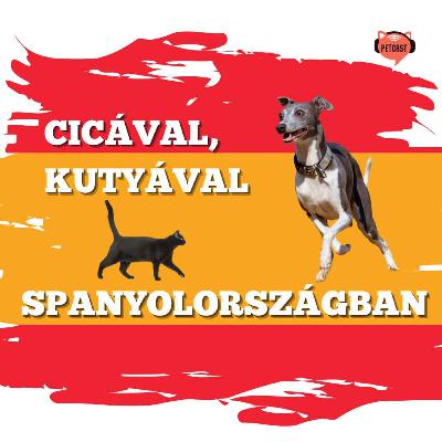 Kisállattal Spanyolországban – Utazási és kiköltözési tippek gazdiknak
