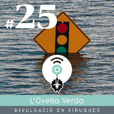 25 | Estem comunicant bé el problema de la crisi climàtica? Amb la Cori Calero