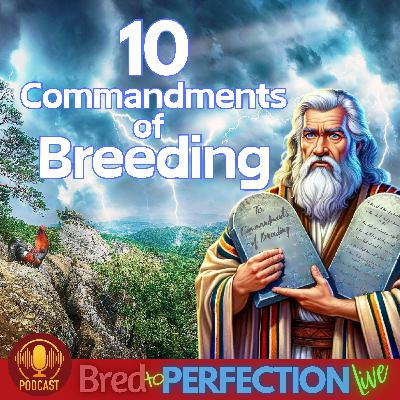 Ep258 - The 10 Commandments of Breeding: Building the Foundation for a True, Lasting Strain