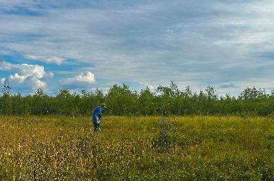 Naturpodden: Sebastian Sundberg är floraväktare för rikkärrens orkidé