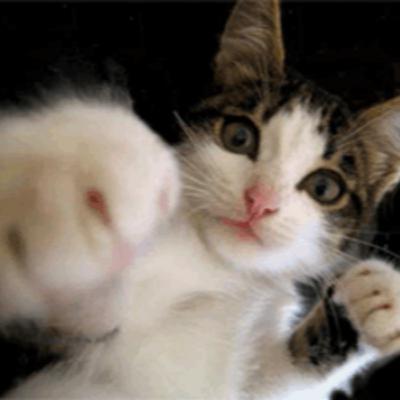 The boss stops by The boss stops by