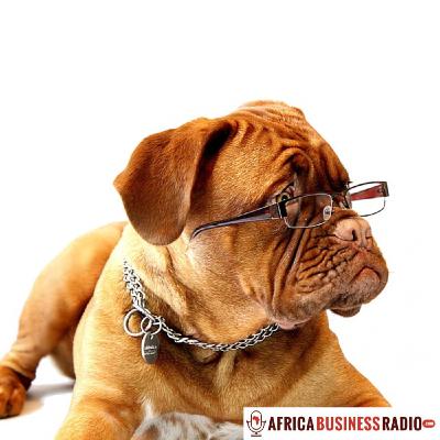 6 Favorite Brands of 2017 - Brands of Africa 6 Favorite Brands of 2017 - Brands of Africa