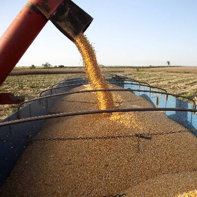 Brasil quiere convertirse en la potencia alimentaria mundial