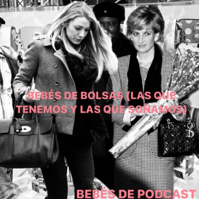 Bebés de Bolsas (las que tenemos y las que soñamos)