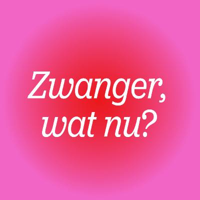 Ik ben zwanger