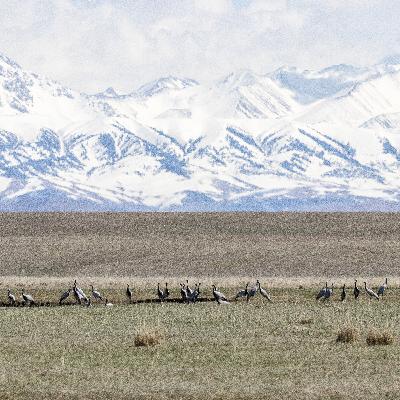 Kazajistán, estepas lejanas Kazajistán, estepas lejanas