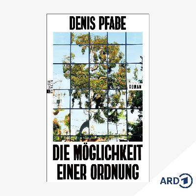 Neue Bücher: "Die Möglichkeit einer Ordnung" von Denis Pfabe