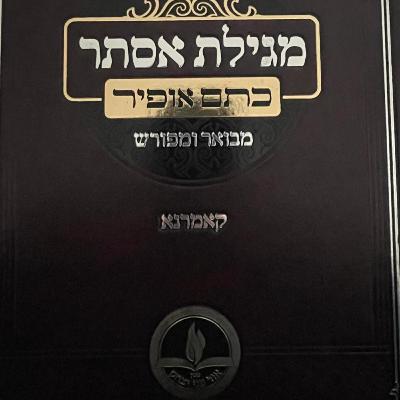 Megillat Esther - L06Y24 - Rabbi of Komarno- lesson 6 - 2024