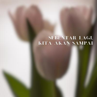 Pegangan yang Erat ya.