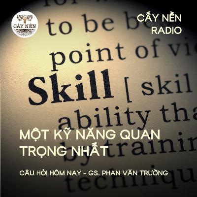 Một kỹ năng quan trọng nhất | GS Phan Văn Trường | Giọng đọc: Đặng Hằng | Cấy Nền Radio