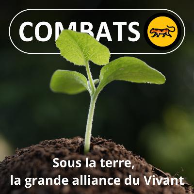 REGARDS 4/4 Sous la terre, la grande alliance du vivant (Marc-André Selosse)