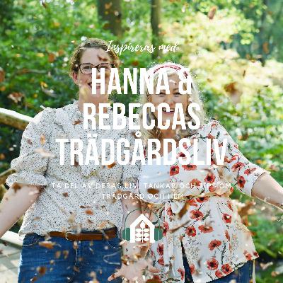 Poddavsnitt 143 – Växthusbygge och övervintring Poddavsnitt 143 – Växthusbygge och övervintring