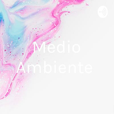 Proyecto 2