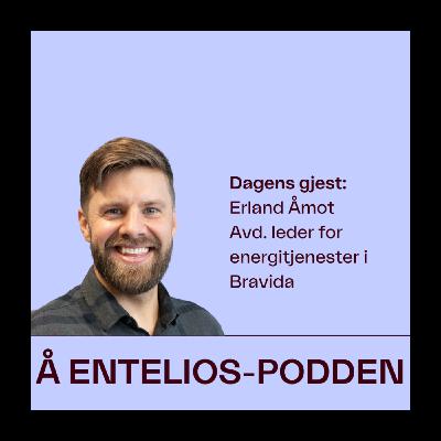 ENØK-ekspert: - Ikke uvanlig å redusere strømforbruket med 40-50 prosent