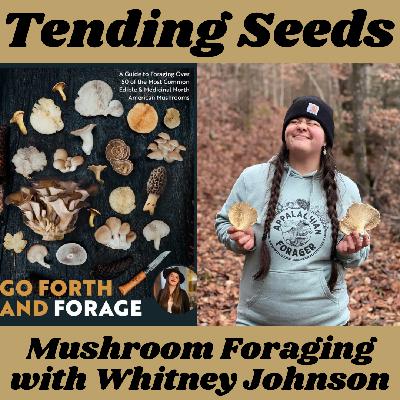 Ep 64 - Mushroom Foraging with Whitney Johnson