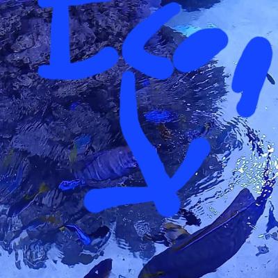 Evil artist and tangents