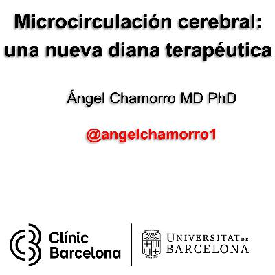 Microcirculación cerebral: una nueva diana terapéutica