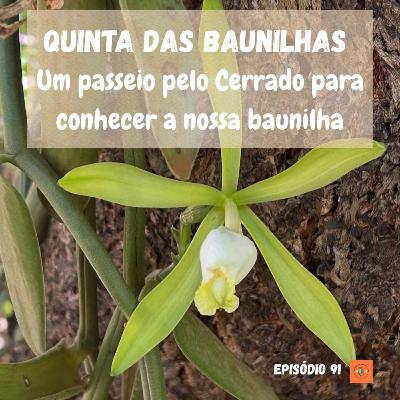 Ep.91 Viajando Pelo Mundo das Baunilhas Ep.91 Viajando Pelo Mundo das Baunilhas