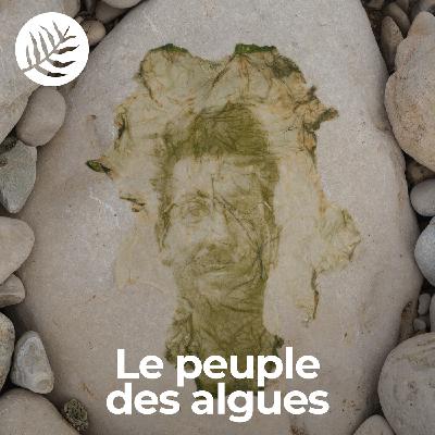 Le Peuple Des Algues : Zachary Gaudin - Ep7/10