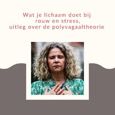 Wat je lichaam doet bij rouw en stress, uitleg over de polyvagaaltheorie (*61) Wat je lichaam doet bij rouw en stress, uitleg over de polyvagaaltheorie (*61)