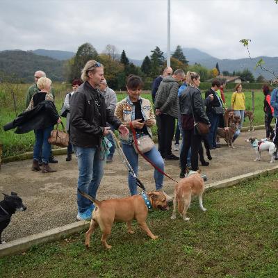 Cuore e solidarietà a quattro zampe: il Parco Canile riapre le porte a “Schiodinzolando”