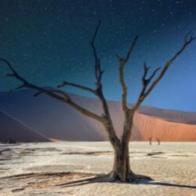 Visit Namibia: The Ultimate Desert Adventure