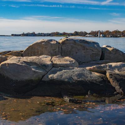 New Season 01-24-2022 New Season 01-24-2022