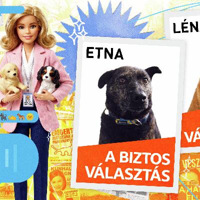 Tyúkól #66: Nem tudjuk, hogy hol a fejünk