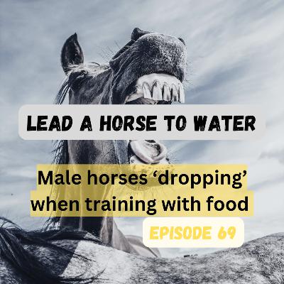 Male horses 'dropping' when training with food