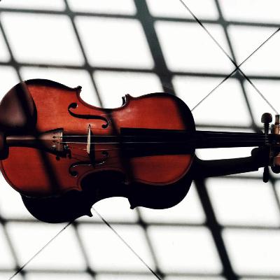 La ribellione del violino La ribellione del violino