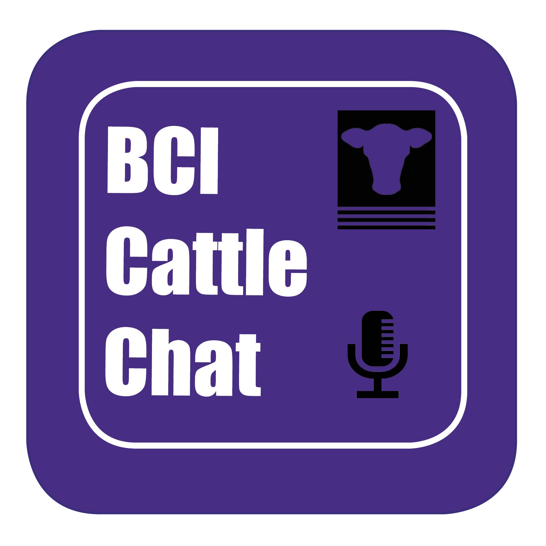BCI Cattle Chat - Episode 1 BCI Cattle Chat - Episode 1