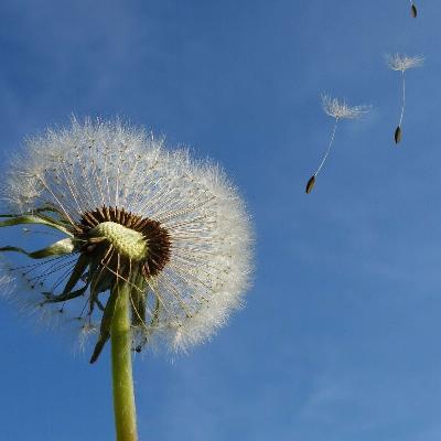 5. Wind: Power of the invisible 5. Wind: Power of the invisible