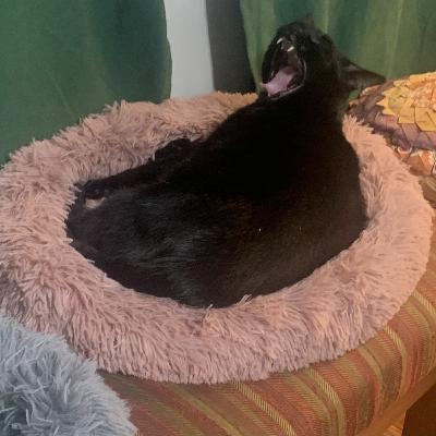 Day 231: Where One or More Have Gathered Day 231: Where One or More Have Gathered