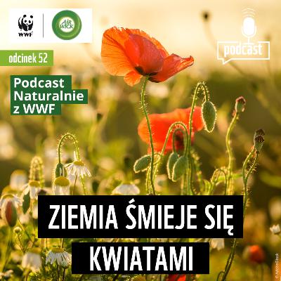Ziemia śmieje się kwiatami