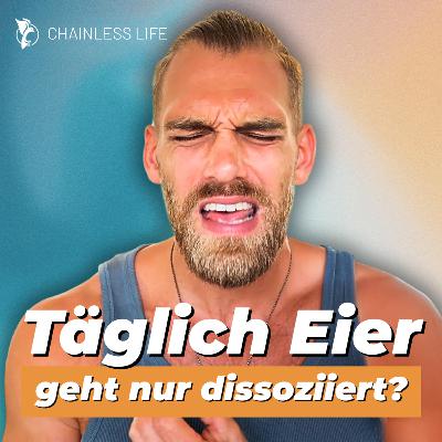 Fazit nach 8-Wochen EIER-EXPERIMENT (Energie, Gesundheit & harte Learnings) #358