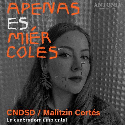 CNDSD/Malitzin Cortés - La cimbradora ambiental CNDSD/Malitzin Cortés - La cimbradora ambiental