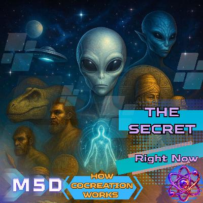 HOW COCREATION Works - The SECRET That Is Shaping Your Reality Right Now - Leo Schneebeli