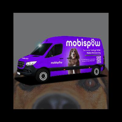 Building MobiSpaw: A Startup Founder’s Journey