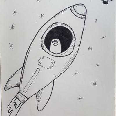 Me rsgalaron de todou