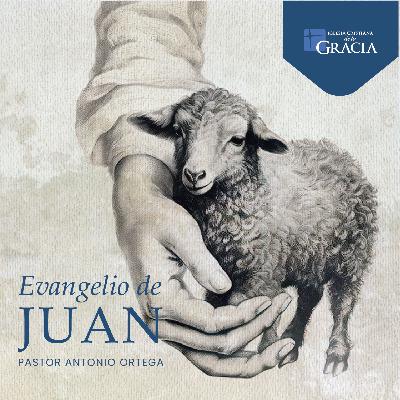 ¿Vives en tinieblas?, permite que la luz de Cristo te ilumine