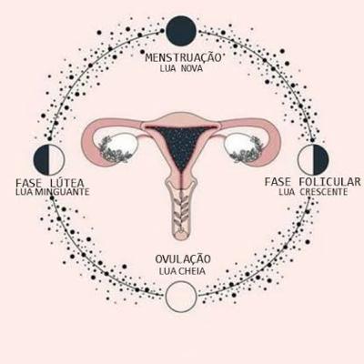 Meditação pra conectar com a sua potência uterina e fases do ciclo menstrual