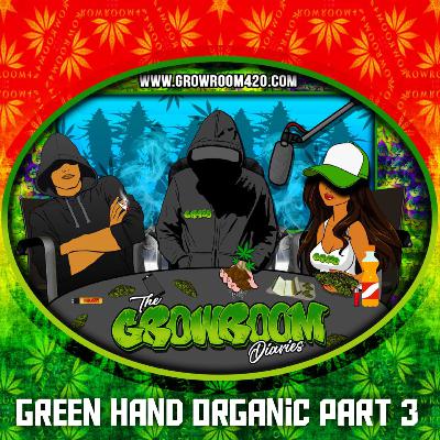 Green Hand Organic Interview - Part 3