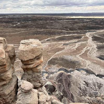 Ep. 147 - Petrified Forest National Park: A First-Timer’s Guide + Route 66 Holbrook & Meteor Crater